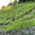 Staufenblick Und Firstblick