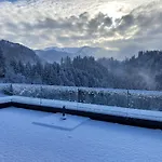 Staufenblick Und Firstblick Dornbirn