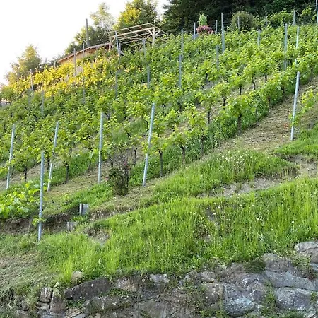 Staufenblick Und Firstblick