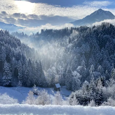 Staufenblick Und Firstblick * Dornbirn