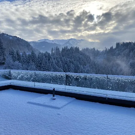 Staufenblick Und Firstblick ドルンビルン